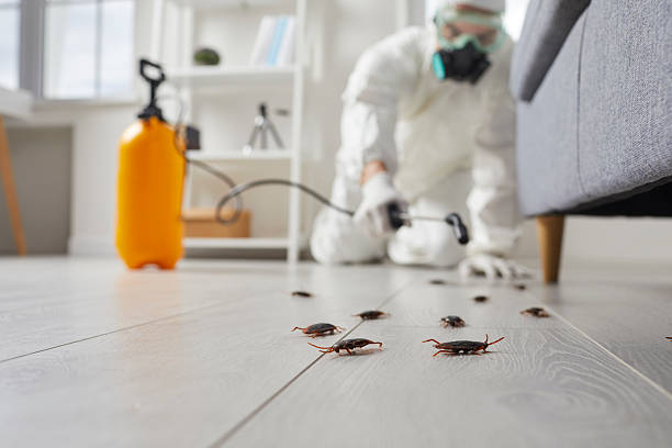 Commercial Rodent Management in Maltby